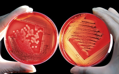 Sanificazione nel settore alimentare