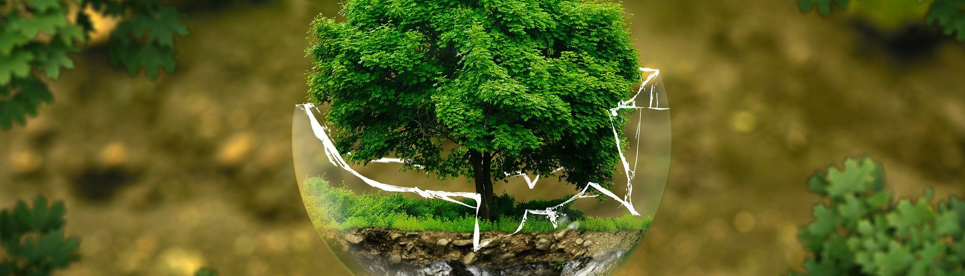 Autorizzazione Integrata Ambientale