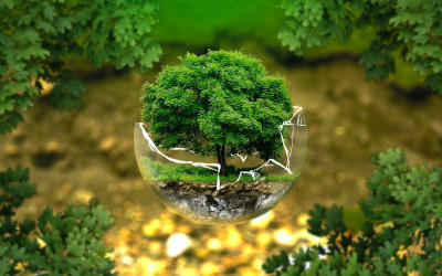 Autorizzazione Integrata Ambientale
