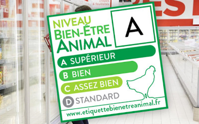 Etichetta UE del "benessere animale"