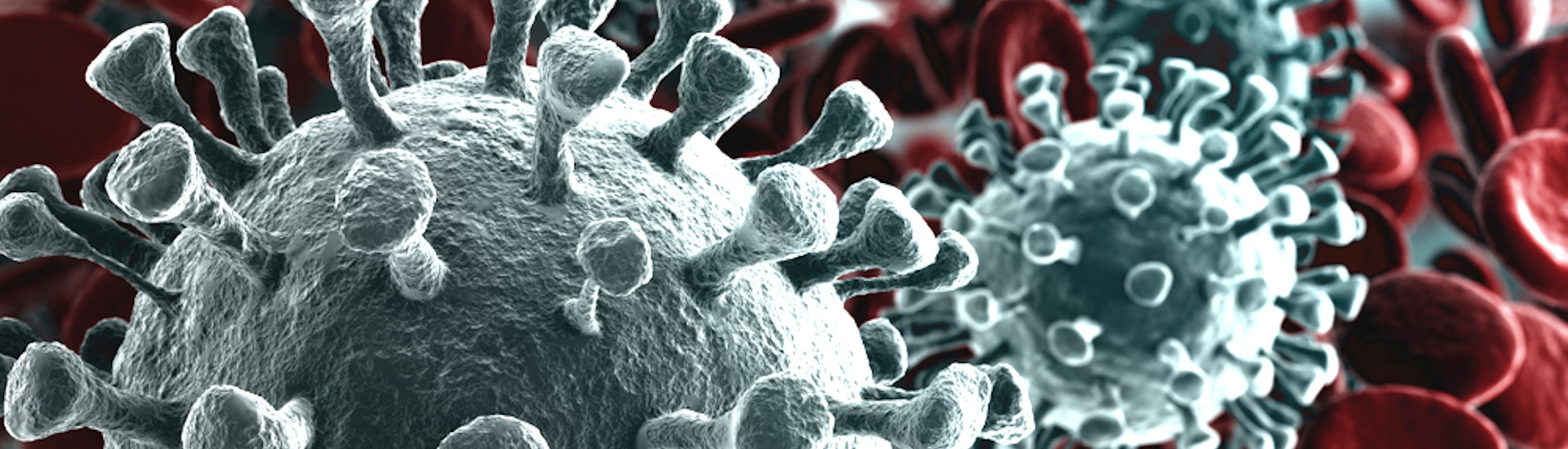 Nuovo Coronavirus: indicazioni di prevenzione