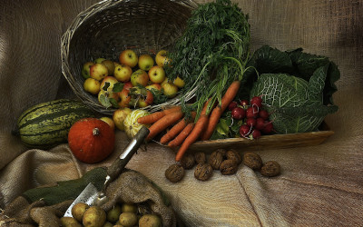Filiere agroalimentari ed economia circolare: le misure principali 2020