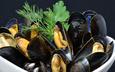Cambiamento climatico, ci saranno più infezioni da vibrioni con il riscaldamento delle acque marine