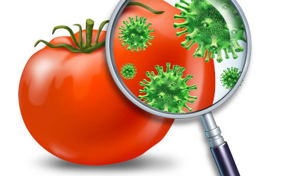 Sistema di gestione per la Sicurezza alimentare, "semplificazioni" per le attività di commercio al dettaglio
