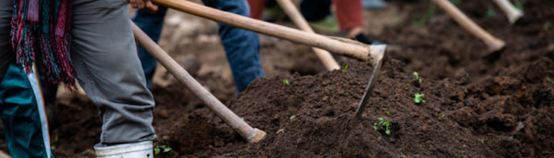 I pesticidi non scompaiono mai: anche dopo 20 anni i terreni ne conservano tracce e conseguenze