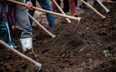 I pesticidi non scompaiono mai: anche dopo 20 anni i terreni ne conservano tracce e conseguenze
