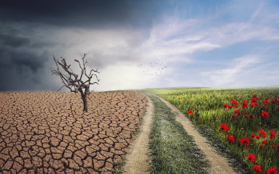Giornata Mondiale dell'Ambiente 2021: un anno cruciale per la salvaguardia dell'ecosistema