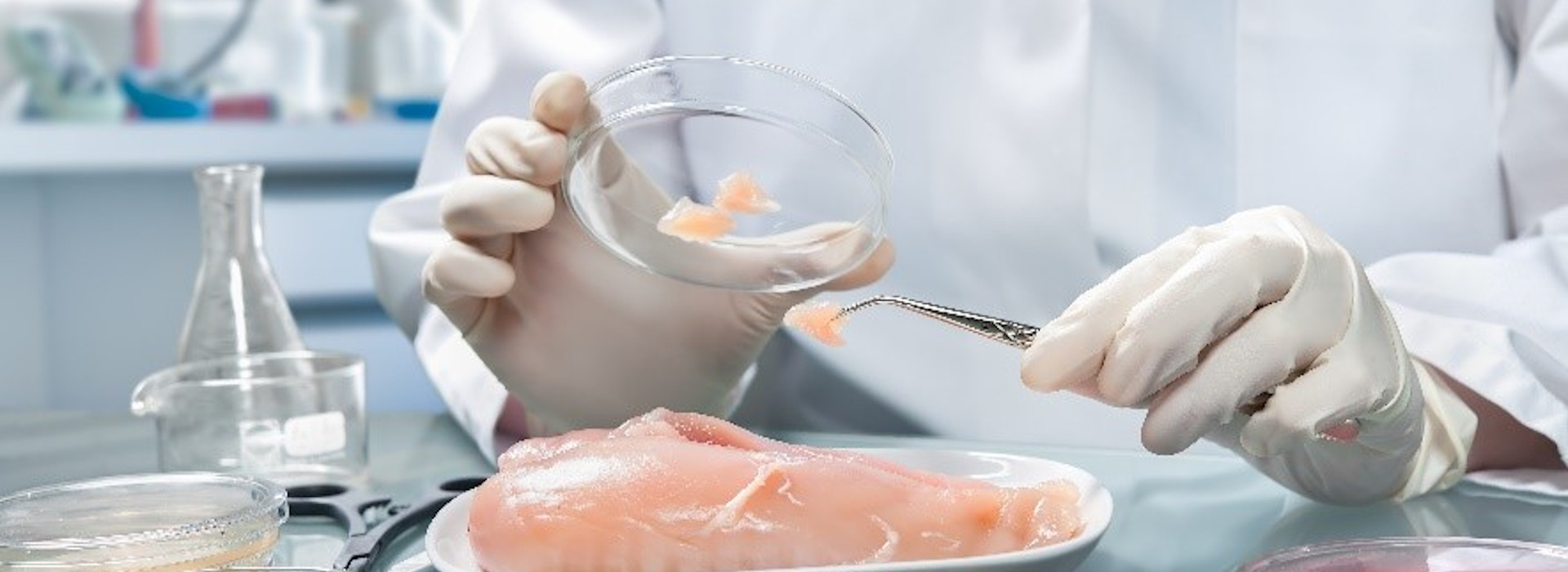 FAO e WHO: la nuova linea guida per la valutazione del rischio microbiologico