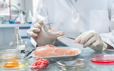 FAO e WHO: la nuova linea guida per la valutazione del rischio microbiologico