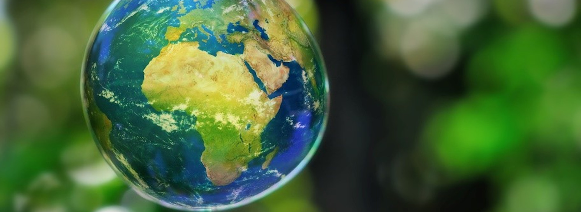 Ripristinare l’ecosistema per salvaguardare il nostro pianeta