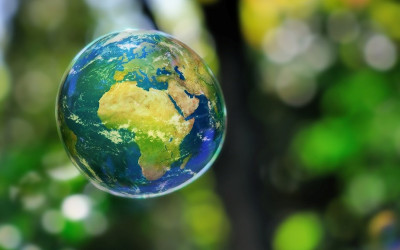 Ripristinare l’ecosistema per salvaguardare il nostro pianeta