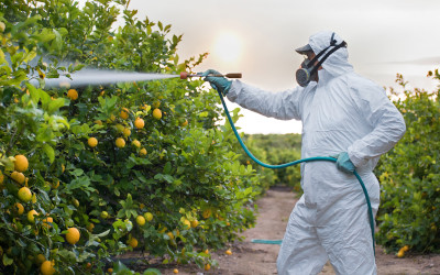Pesticidi in frutta e verdura: tutto nella norma?
