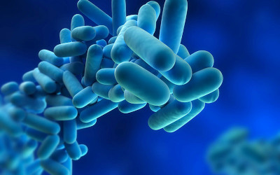 Legionella e rischio biologico: come prevenire i contagi