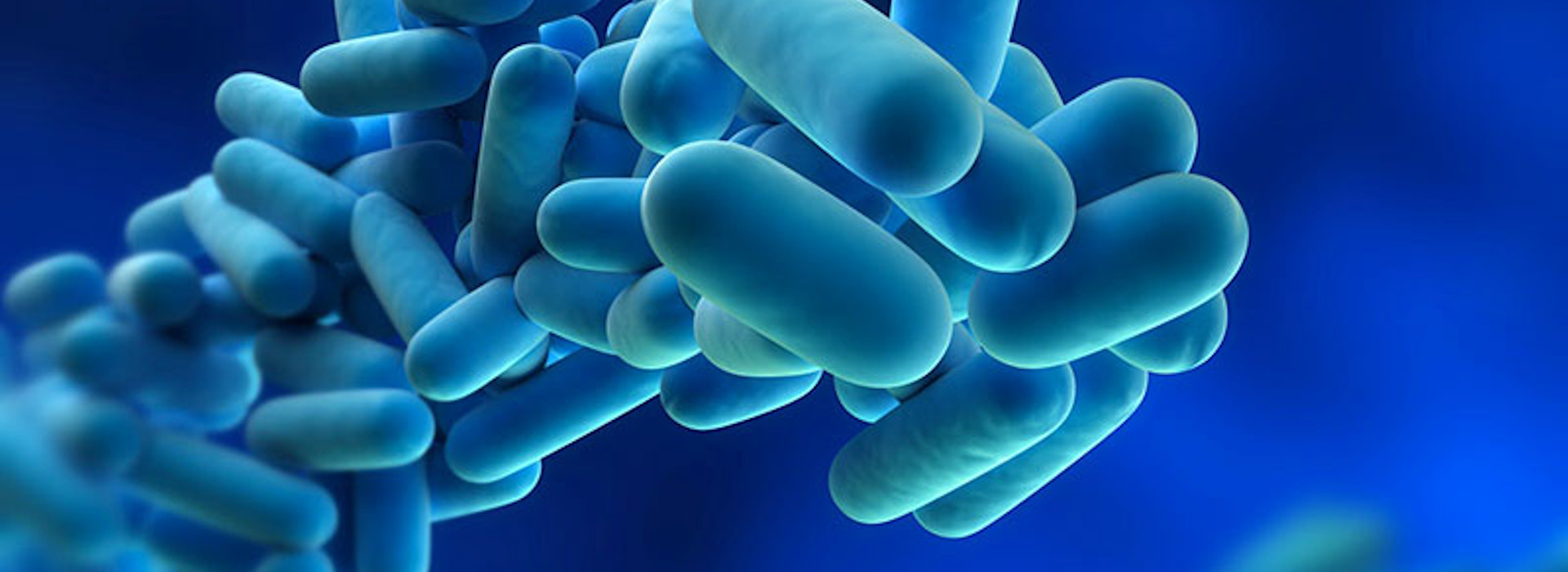 Legionella e rischio biologico: come prevenire i contagi