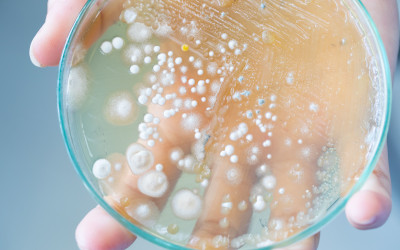 Inail e i rischi da esposizione da agenti microbiologici