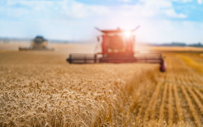 Biologico: raggiunta l’intesa dalla conferenza Stato-Regioni