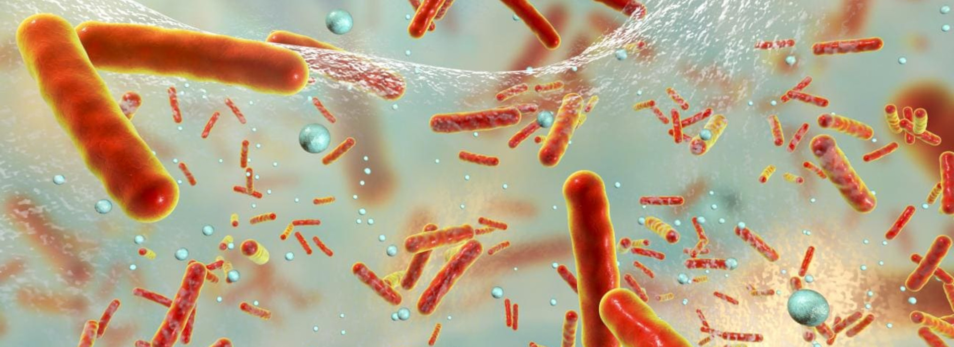 Salmonella e Campylobacter: ancora importanti segnali di resistenza agli antibiotici