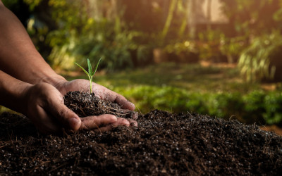 Sicurezza alimentare e sostenibilità: gli ingredienti della nuova agricoltura