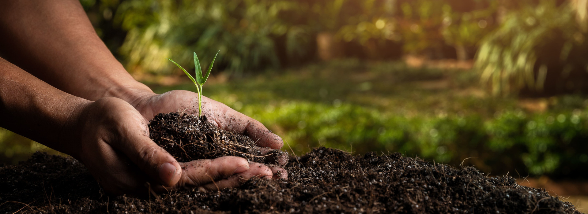 Sicurezza alimentare e sostenibilità: gli ingredienti della nuova agricoltura