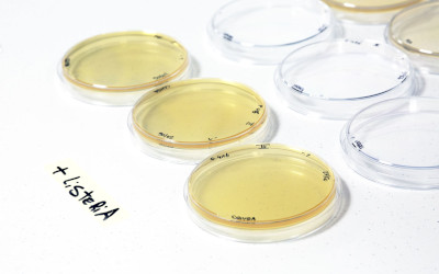 Sicurezza alimentare: il controllo microbiologico delle superfici