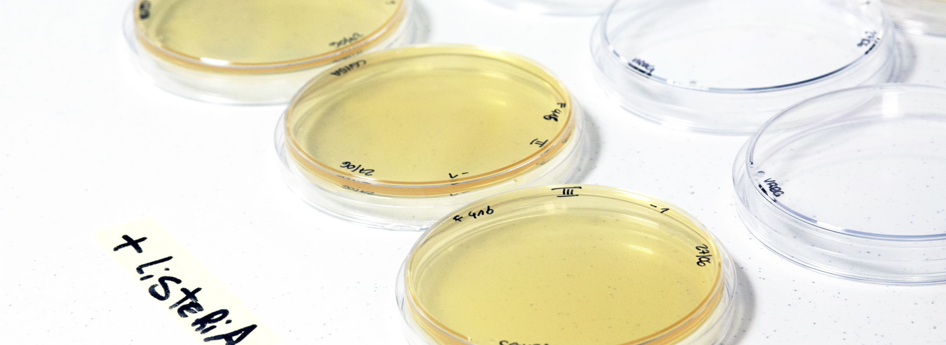 Sicurezza alimentare: il controllo microbiologico delle superfici