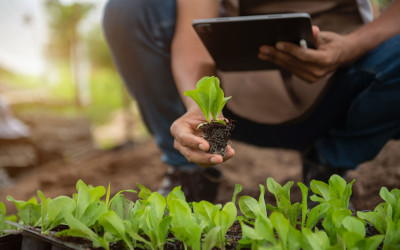 Biotecnologie in agricoltura: da Biotech alle analisi del suolo agricolo di Saturno Laboratorio