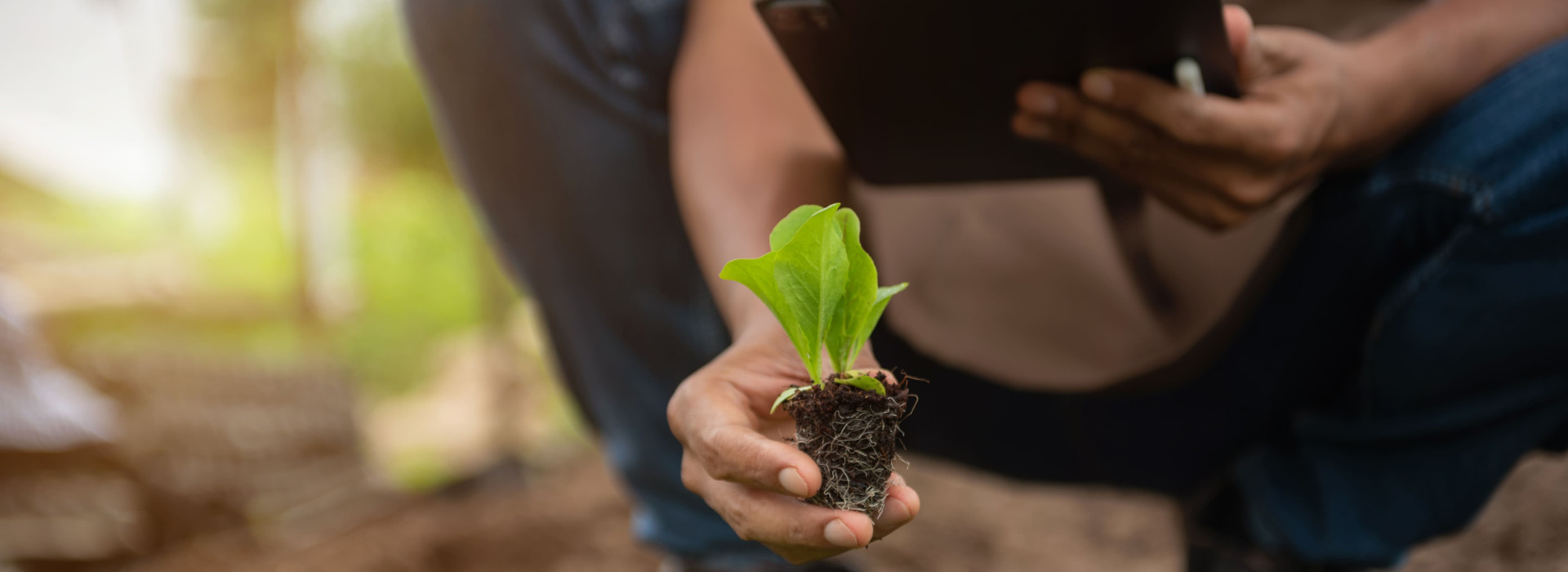 Biotecnologie in agricoltura: da Biotech alle analisi del suolo agricolo di Saturno Laboratorio