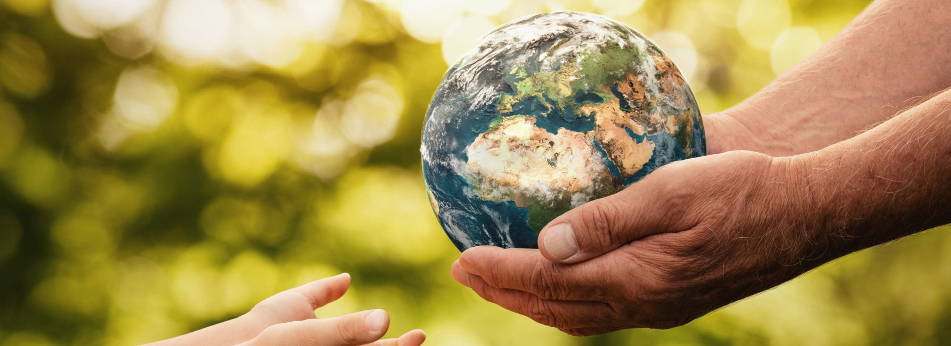 Etichettatura ambientale: arriva l’obbligo anche per l’Italia