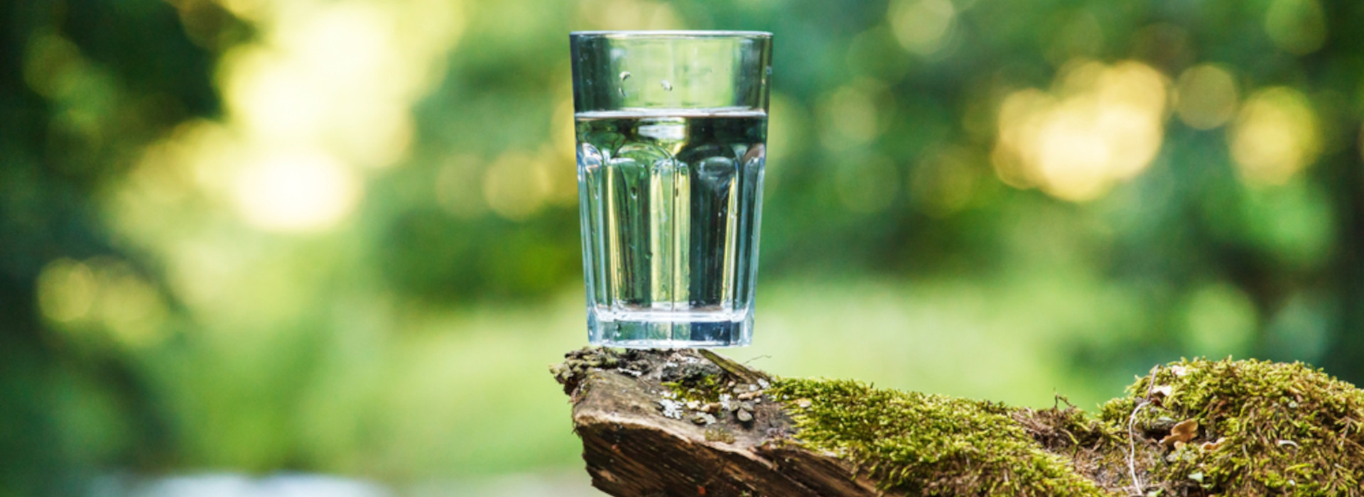PFAS: dai nuovi standard per l'acqua potabile alla situazione italiana