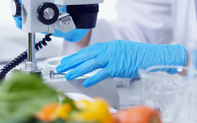 Garantire la sicurezza alimentare: il certificato di benessere animale