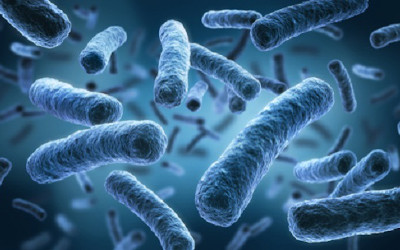 Legionellosi: come riconoscerla e prevenirla?
