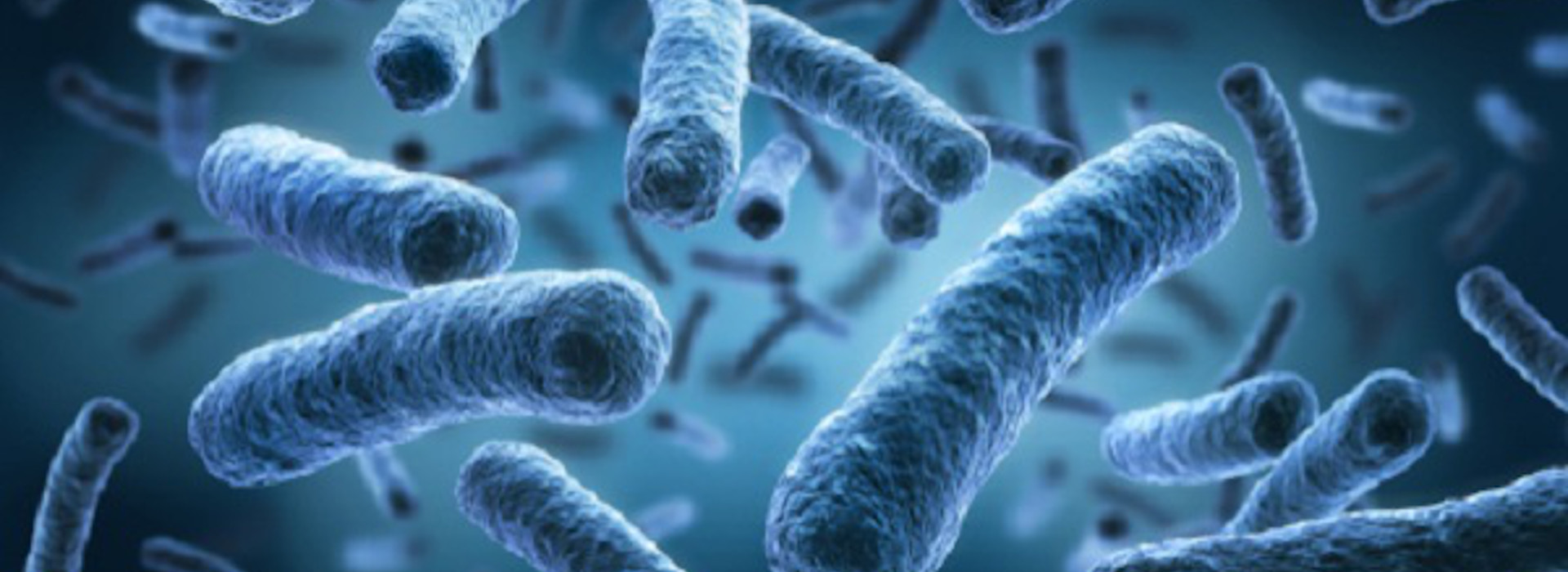 Legionellosi: come riconoscerla e prevenirla?