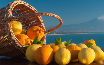 Agrumi italiani, Confagricoltura teme patologie importate