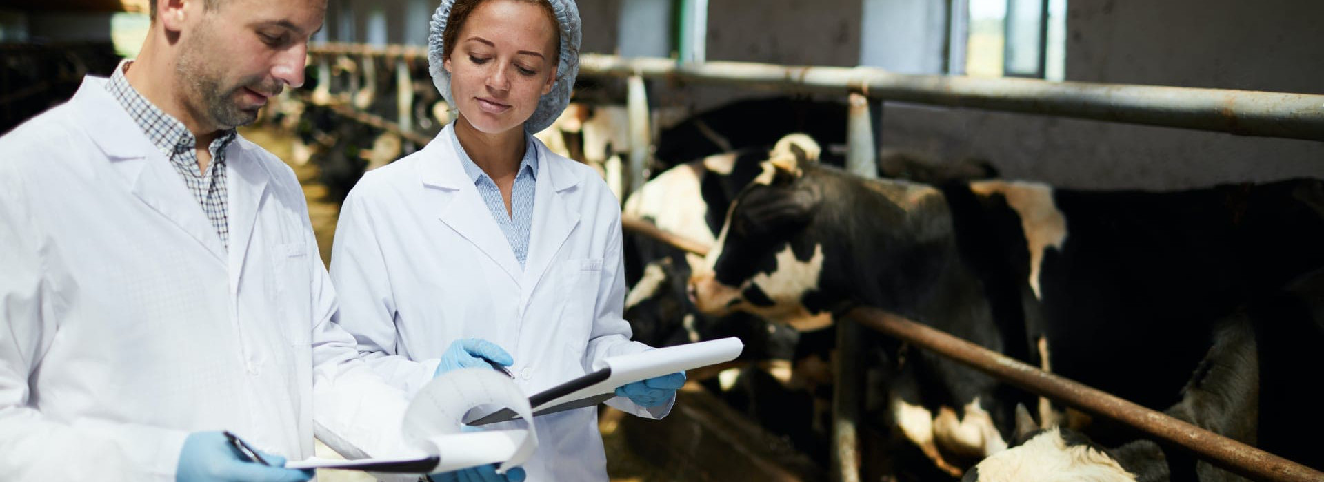 Formazione obbligatoria in sanità animale: contenuti e modalità
