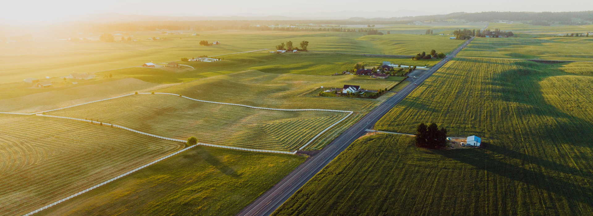 Agrivoltaico: la soluzione innovativa per un futuro sostenibile