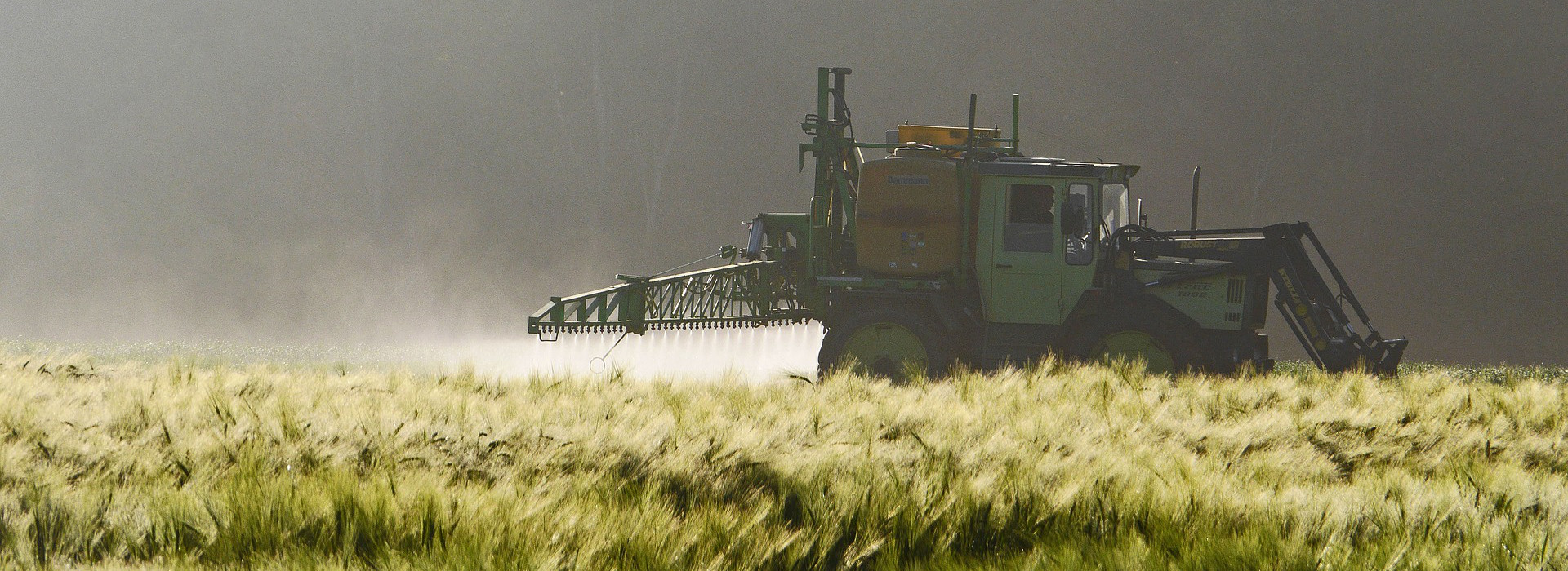 Rapporto sui residui di pesticidi in Europa: una panoramica sulla sicurezza alimentare