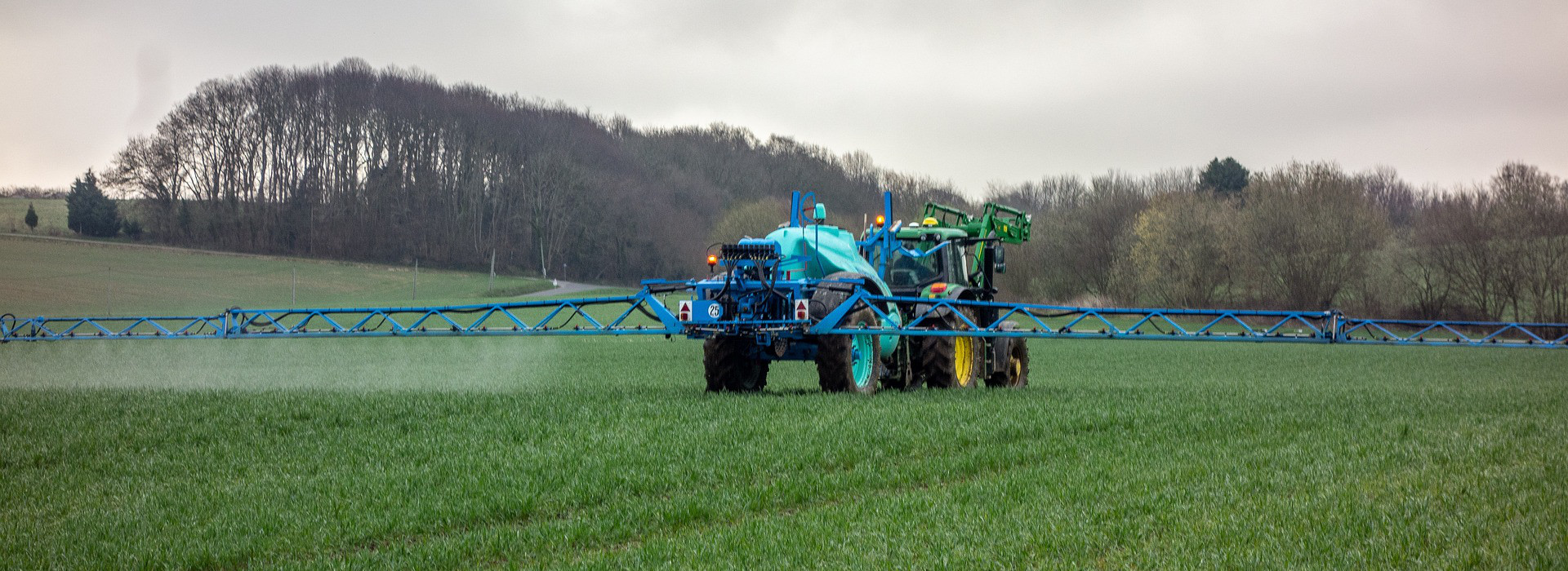 Report EFSA sui residui di pesticidi negli alimenti per il 2022: risultati incoraggianti