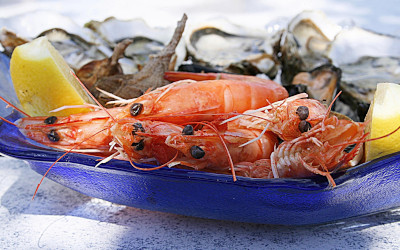 L'aumento del rischio di Vibrio nei frutti di mare: il legame con il cambiamento climatico e la resistenza antimicrobica