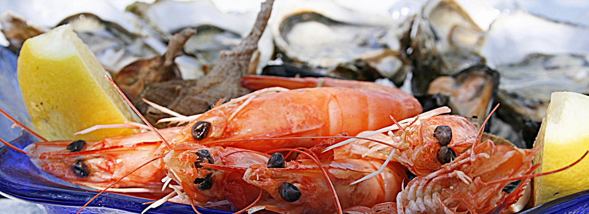 L'aumento del rischio di Vibrio nei frutti di mare: il legame con il cambiamento climatico e la resistenza antimicrobica