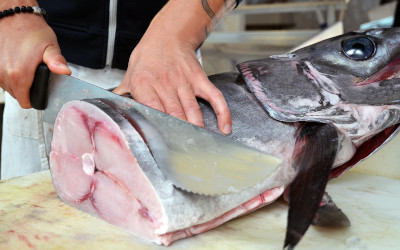 Mercurio nel pesce: come proteggere la tua salute con l’aiuto di Saturno Laboratorio