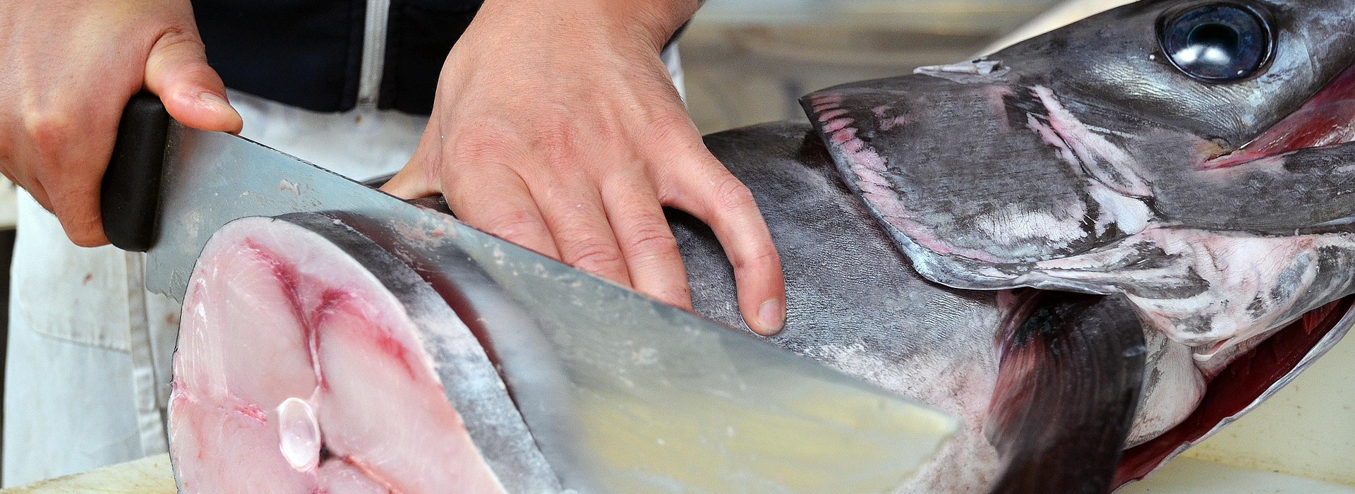 Mercurio nel pesce: come proteggere la tua salute con l’aiuto di Saturno Laboratorio