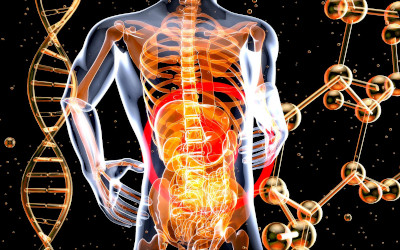 Pesticidi e microbiota intestinale: un legame sempre più preoccupante