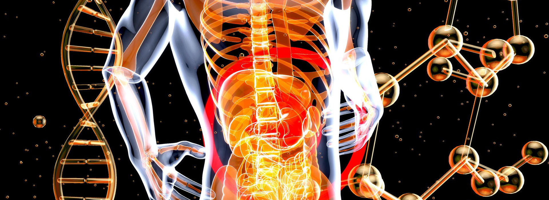 Pesticidi e microbiota intestinale: un legame sempre più preoccupante