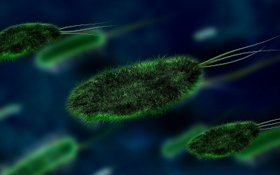 Legionella nei condomini: obblighi, buone pratiche e come Saturno Laboratorio può aiutarti