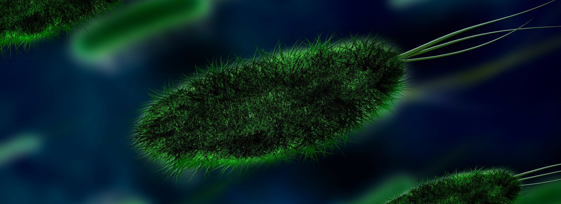 Legionella nei condomini: obblighi, buone pratiche e come Saturno Laboratorio può aiutarti
