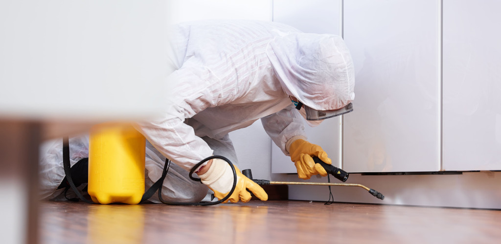 Disinfestazione - Derattizzazione - Sanificazione